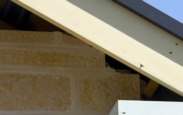 soffit repair Brendon